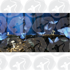 Αυτοκόλλητη φωτοταπετσαρία 54