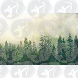 Αυτοκόλλητη φωτοταπετσαρία 56